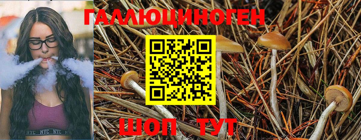 Псилоцибиновые грибы MAGIC MUSHROOMS Чехов
